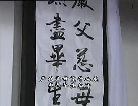 沈阳38大案20集电视剧 图7