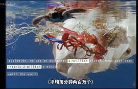 纪录片塑料海洋的主要内容 图7