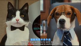 猫狗大战2：珍珠猫复仇 图6