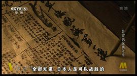 彭雪楓縱橫江淮 圖4
