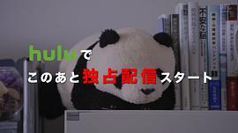 横滨流星熊猫笑了 图6