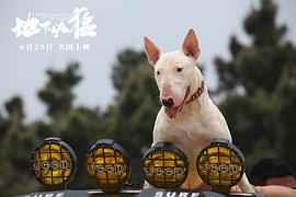 地下兇猛 圖6