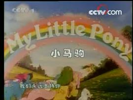 小馬駒 圖3