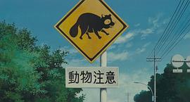 百變貍貓 圖8