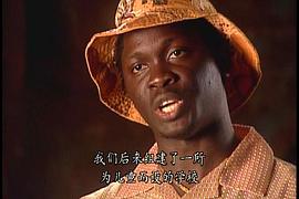 1993年太阳泪电视剧免费观看 图4