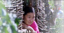 鄉(xiāng)村愛(ài)情 圖2
