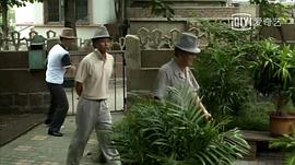 父母愛情 圖6