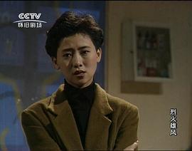 香港电视剧烈火雄风免费播放 图2