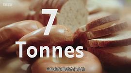 碳水化合物的真相 圖8