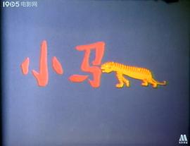 小馬虎 圖10