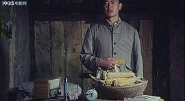 爬滿青藤的木屋 圖9