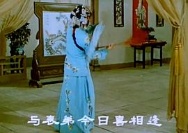 花為媒 圖3