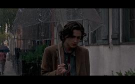 纽约下雨的一天电影在线播放 图5