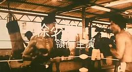猎豹行动1992甄子丹版取子弹是 图6