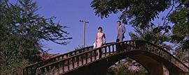 菩薩在線觀看 圖5
