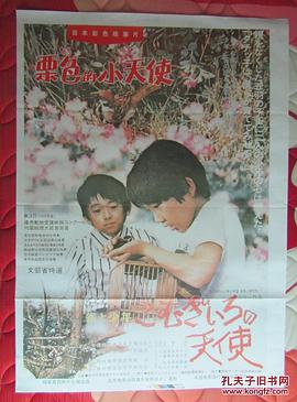 栗色的小天使 圖7