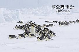 企鹅日记电影 图4