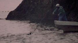 血色海豚湾电影完整版 图8