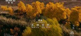 飞天中文电影网免费观看 图1
