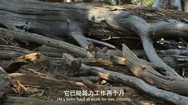 美麗美利堅(jiān) 圖8