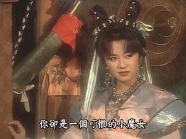 1991古装剧小侠龙旋风第全集 图8