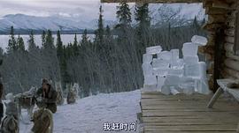 北极最后的猎人纪录片 图8