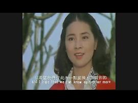 忘憂草 圖6