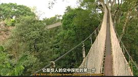 昆蟲王國 第二季 圖1