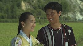 海蘭江畔稻花香 圖10