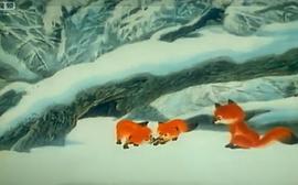 雪狐 圖2