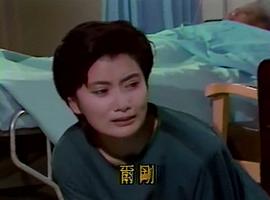 含羞草 圖2