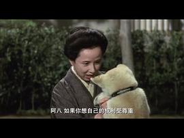 日本忠犬八公中文版 图8