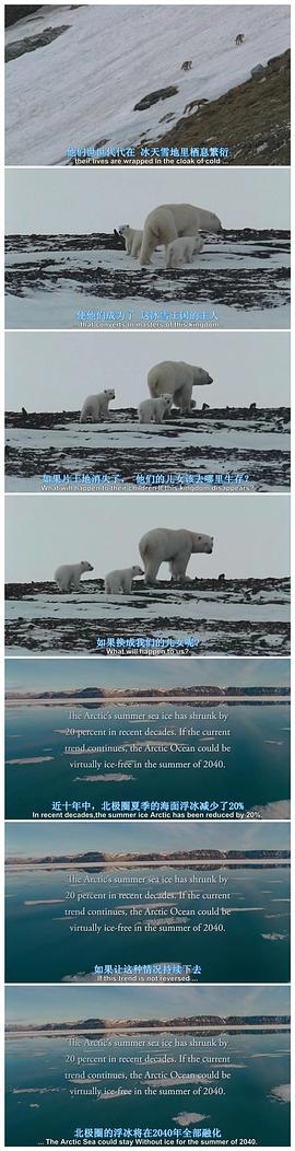 有北极熊的电影叫什么 图8