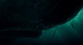 海洋深处在线观看捕鲸鱼 图5