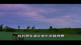 盛夏光年 圖7