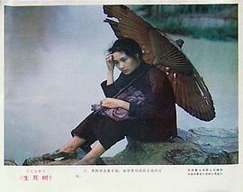 生死樹 圖3