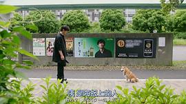 难破MG5 特别篇 图10