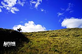 关于人狼大战的电影有哪些 图7