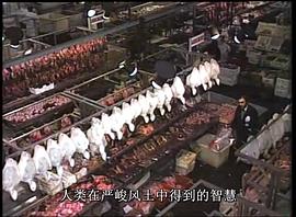 人類以何為食：食物和文明的世界群像 圖5