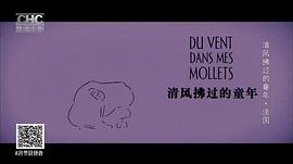 雙腿生風 圖2