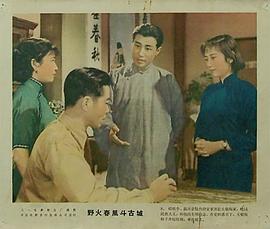 野火春风斗古城 电视剧 1995 图8