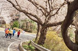 倒計(jì)時(shí) 圖6