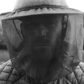 杰森·斯坦森养蜂人电影在线观看 图5