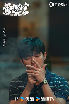 雪迷宫 图4