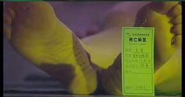 梅花檔案2 圖3