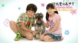 高護(hù)木的規(guī)矩 SP2014 圖2