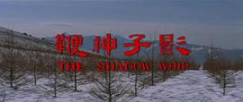 影子神鞭 圖4