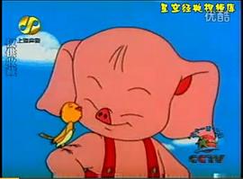 小豬哼哼 圖3