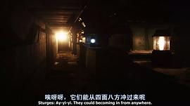 駱駝蜘蛛 圖4