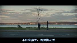 愛在人間 圖3